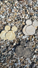Load image into Gallery viewer, Seashell earring in tan
